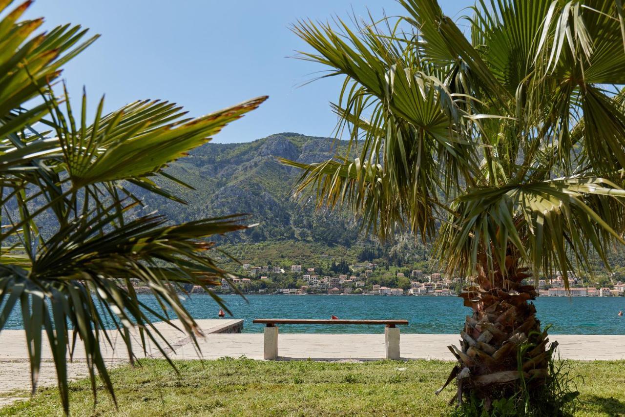 Apartment Mrsulja Kotor Ngoại thất bức ảnh